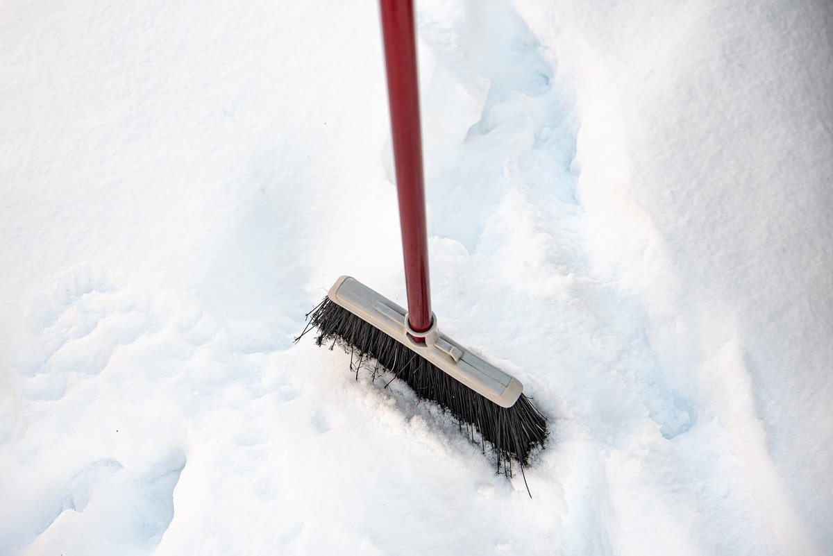 DWPhotographed's tweet image. Every Floridian right now trying to shovel their driveway…