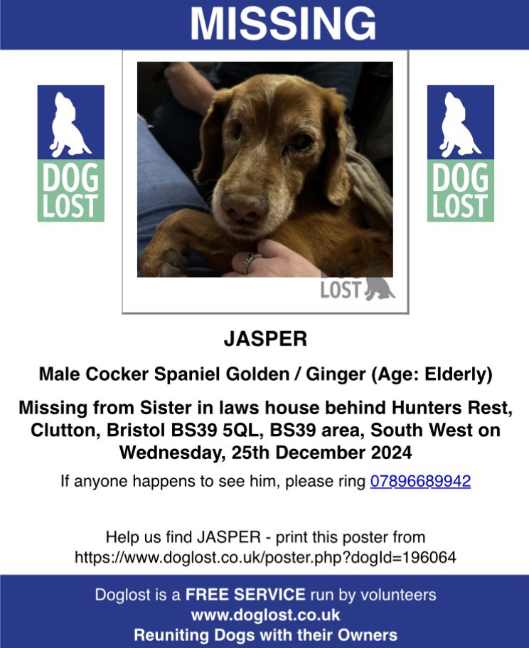 rosieDoc2's tweet photo. #SpanielHour
βOur beloved Jasper went missing Xmas Day evening from sister in laws house (up behind the Hunters Rest, BS39 5QL)
golden #cockerspaniel
nearly 15 years old/partially deaf.
We have searched high and low and are doing everything we can.
25/12/24 #Clutton #Bristol https://t.co/1Q3L0Z8API