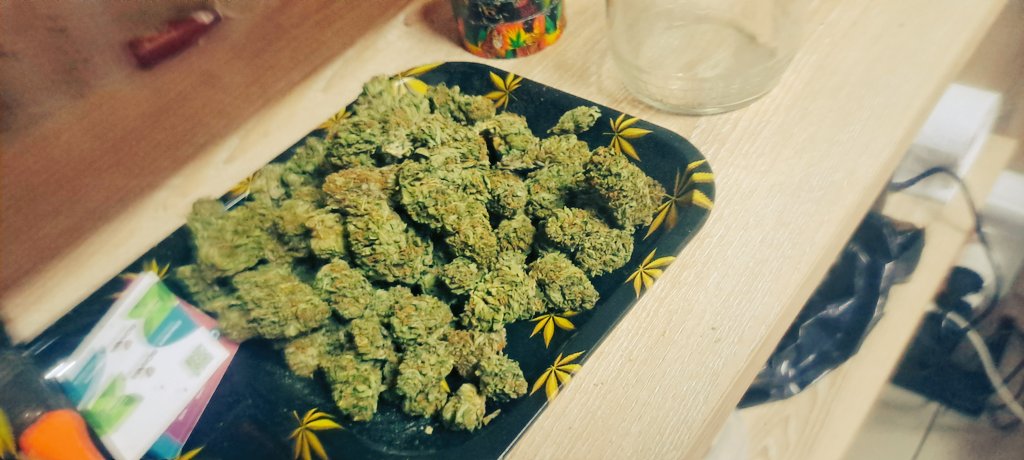 Green in a cheesy Way 🌕🧀🌿