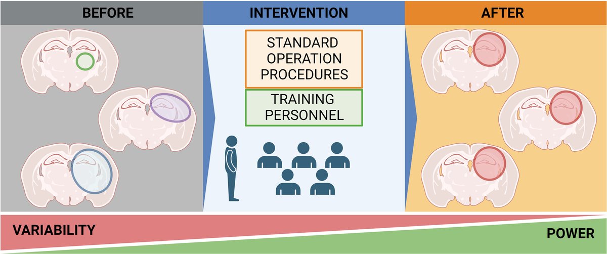Stroke AHA/ASA tweet media