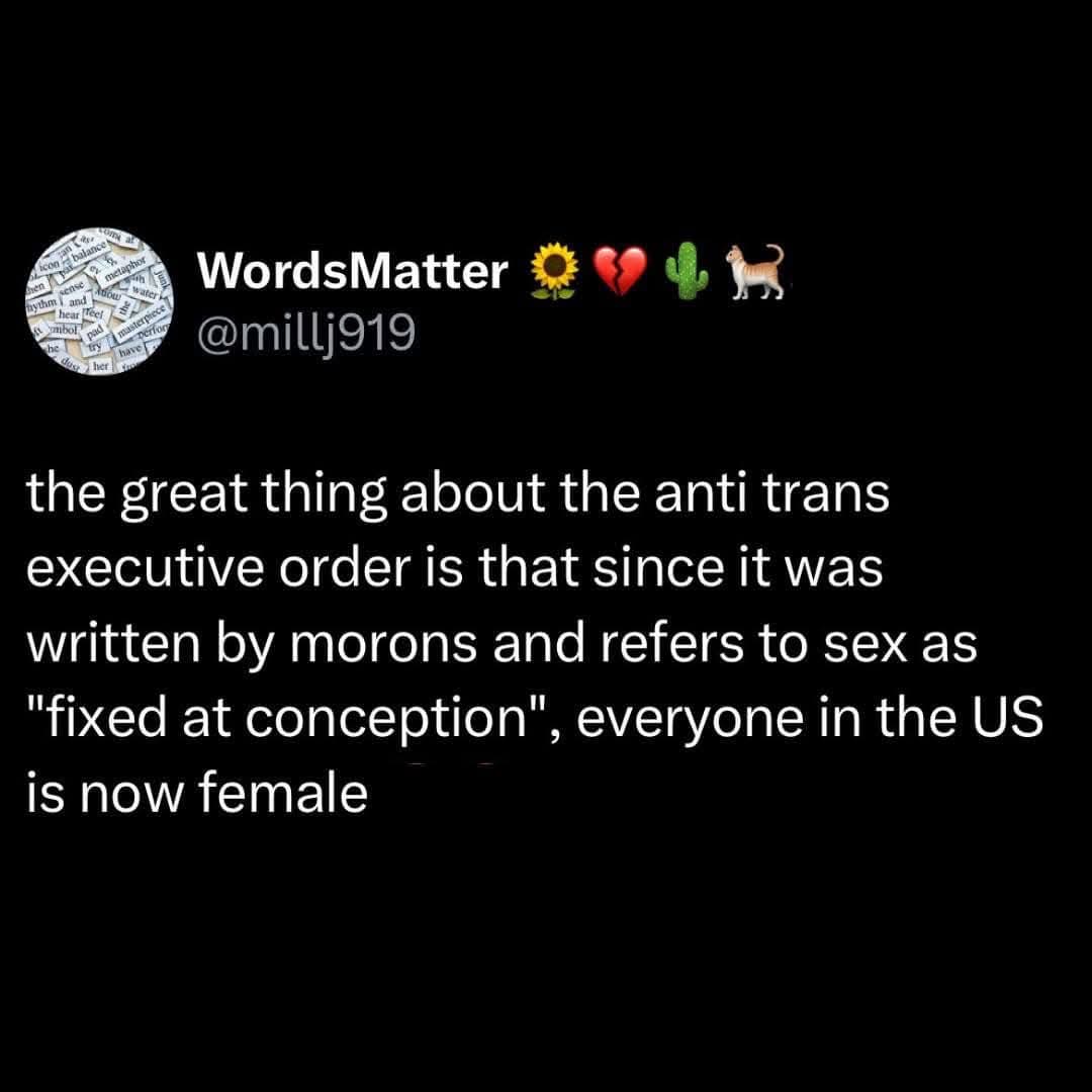 🎭 Dave Ó Gibealláin (@electricgibby) on Twitter photo 