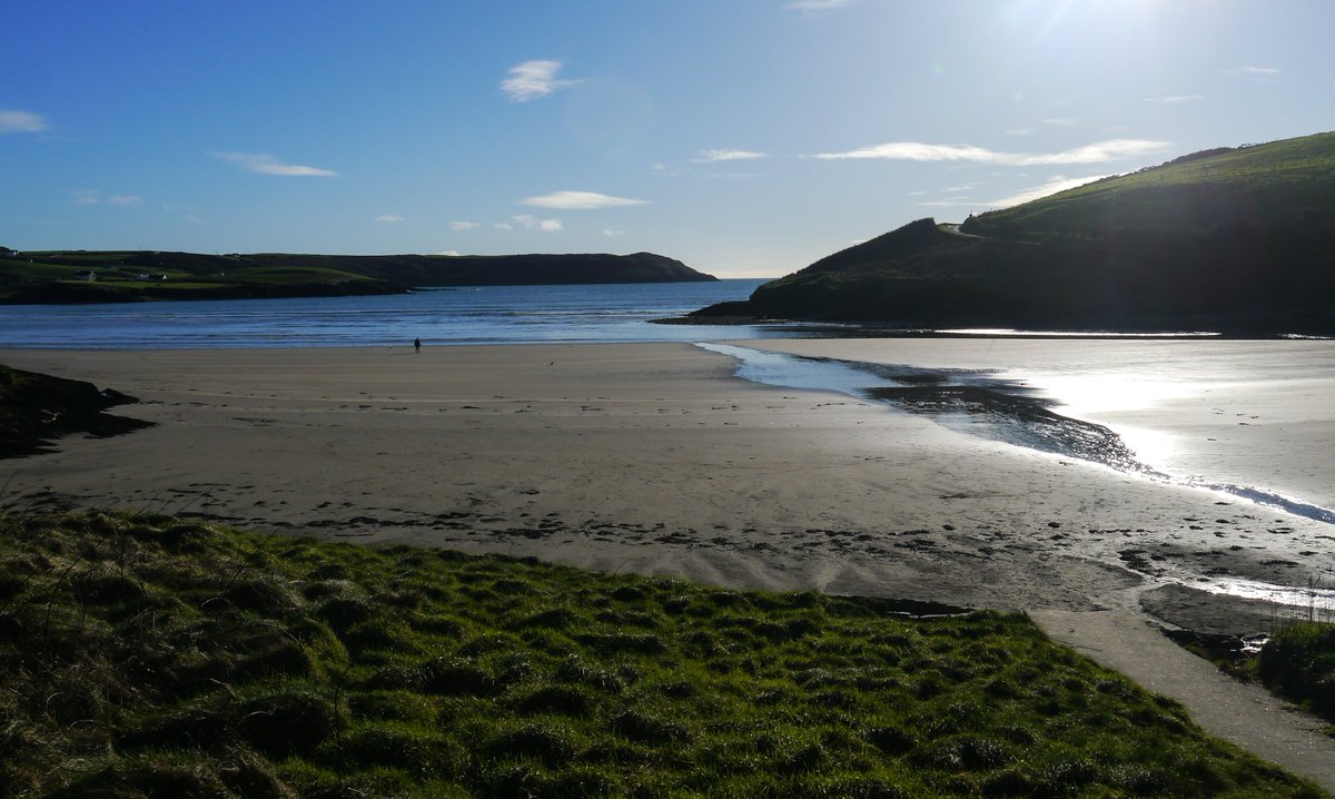 Michael Mitchell tweet media