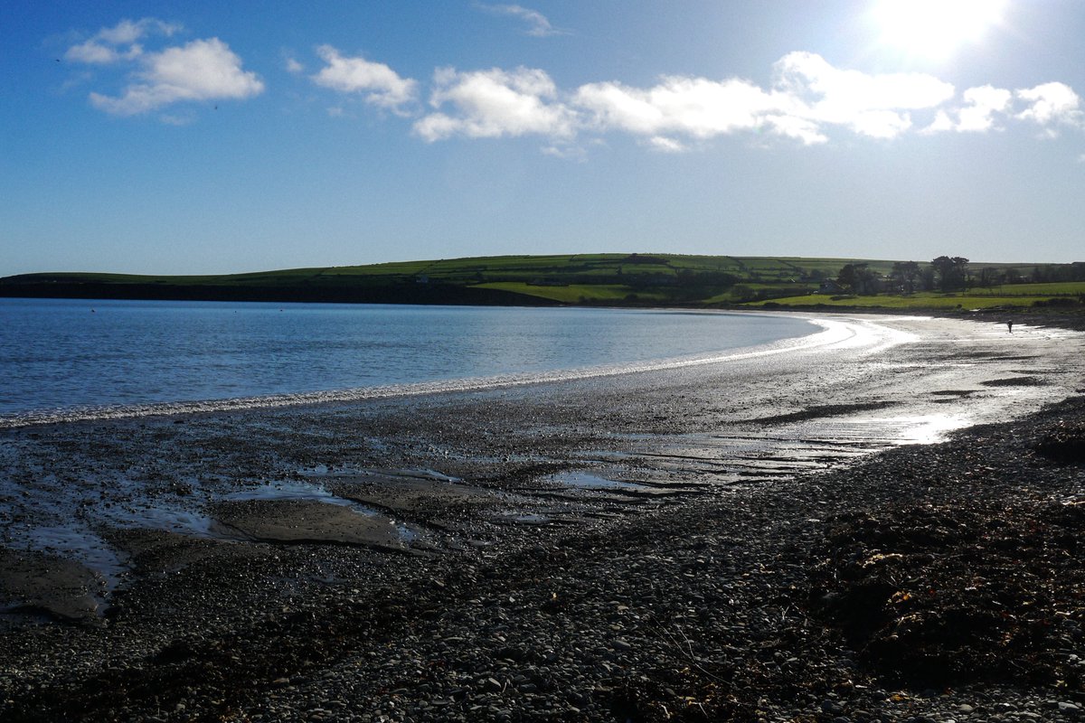 Michael Mitchell tweet media