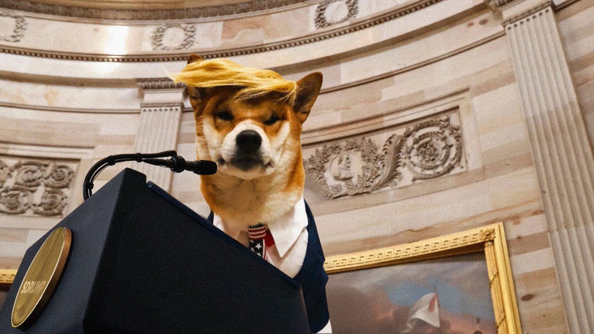 Drump tweet media