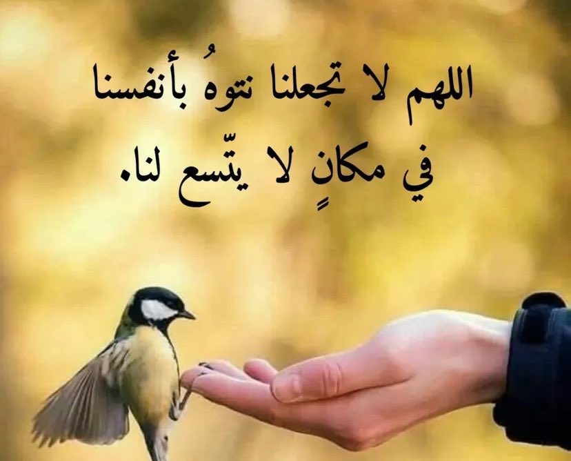 🇸🇦💚جنوبيه_وافتخر🇸🇦💚 (@fatima2gh4) on Twitter photo 