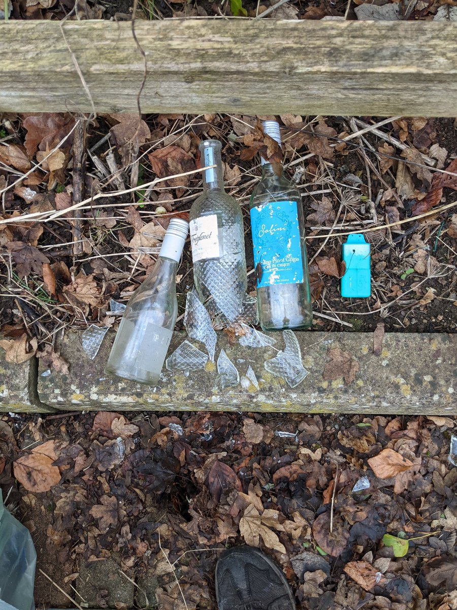 EricTorrington's tweet photo. A #classy pick for me today with #glass bottles from @waitrose #Malmesbury hedge of doom. A better class of customer #litterer & #litter here. All glass for @CllrGillThomas & her glass walk to raise #litter awareness. Over 200 bottles so far. Supporting #nature #GlassWalking https://t.co/iAyCKI5Y9J