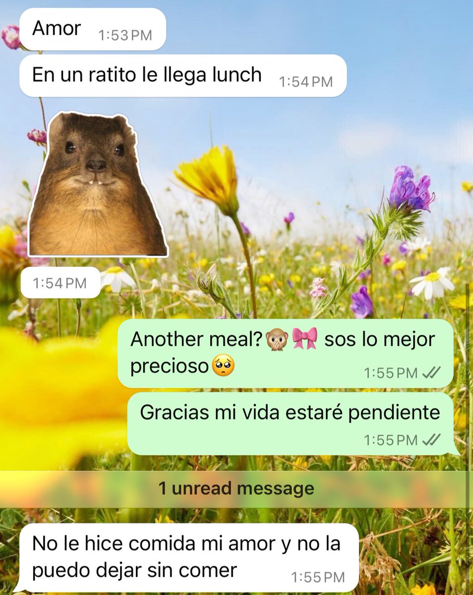 DdLazo's tweet photo. Amigas, no se conformen con el Bare Mínimum…mi novio me cuida y soy su princesa. https://t.co/j6HA2CY2U8