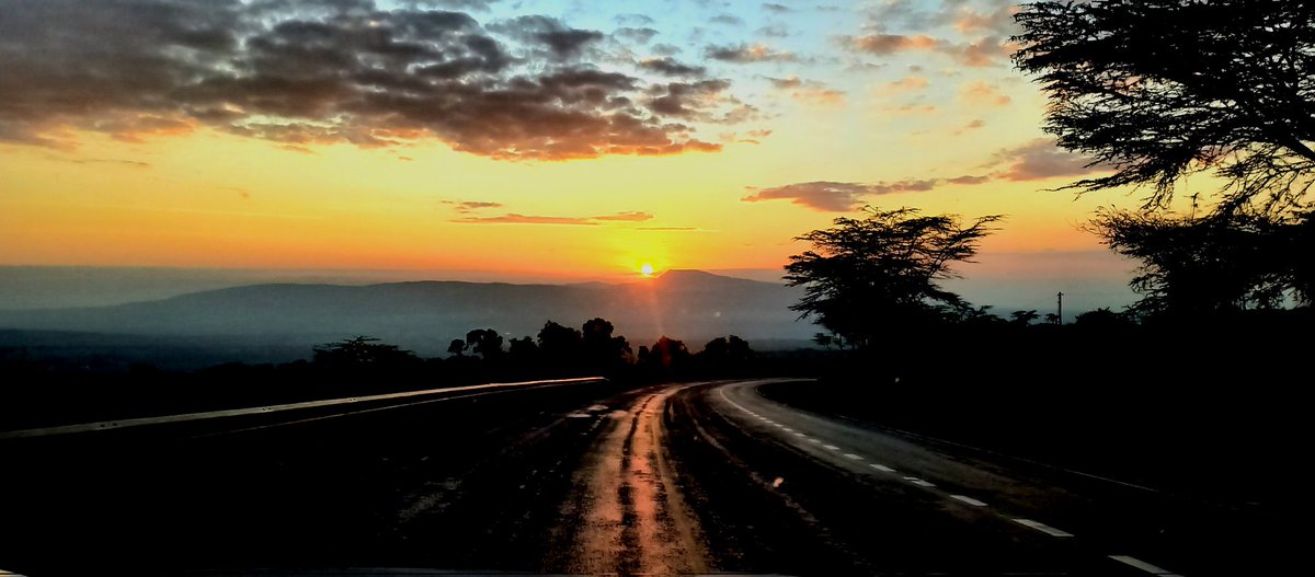 Moses Osani tweet media