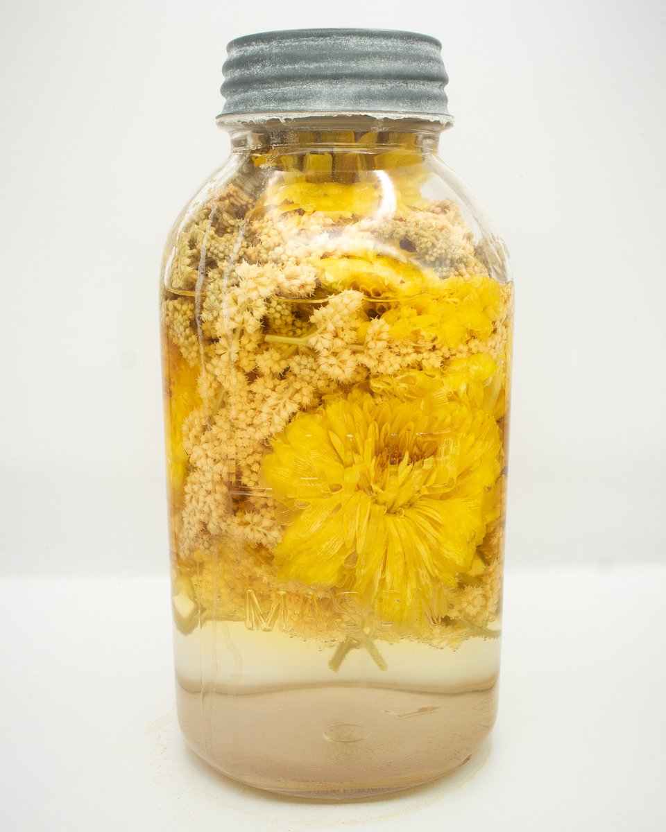 Harrison Wayne tweet media