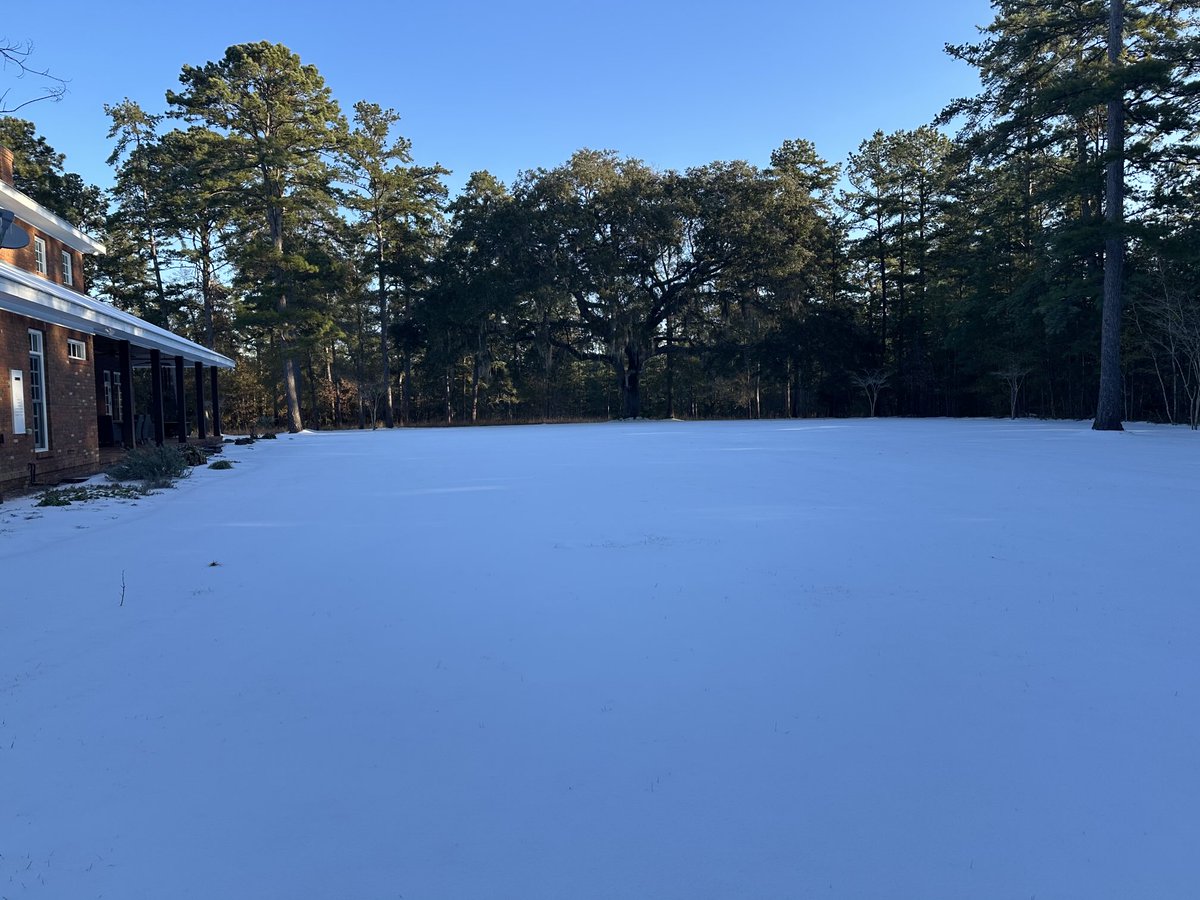 RickButler87's tweet image. Not a look I normally see in a north FL back yard.