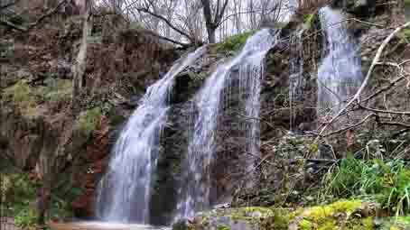 FAPASSPAIN's tweet image. NATURALEZA DE CERCANÍAS ACERCA A 800 ESCOLARES A LA FAUNA SALVAJE
El Proyecto de Educación Ambiental de FAPAS “Naturaleza de Cercanías” ha llevado a los primeros 800 escolares a observar la naturaleza más salvaje en el entorno de una ciudad
fapas.es/noticias/natur…
