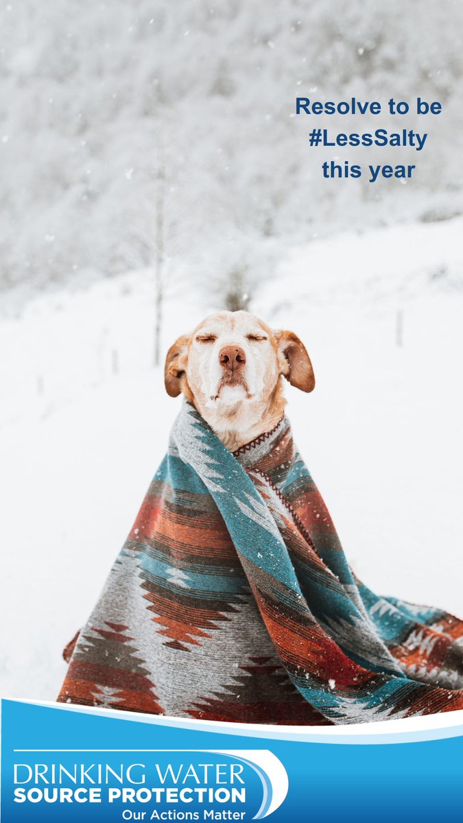 TwpWellNorth's tweet photo. Road salt can cause skin irritation to dogs when it gets between their paw pads. Keep the neighborhood pups healthy and happy by making sure to #SaltResponsibly and sparingly. Learn more: https://t.co/cQpnzGElLE #SourceWaterON #WaterWednesday #ONenvironment #FOCA_info https://t.co/h8anfPgtyE