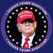 wildnetwalker tweet media