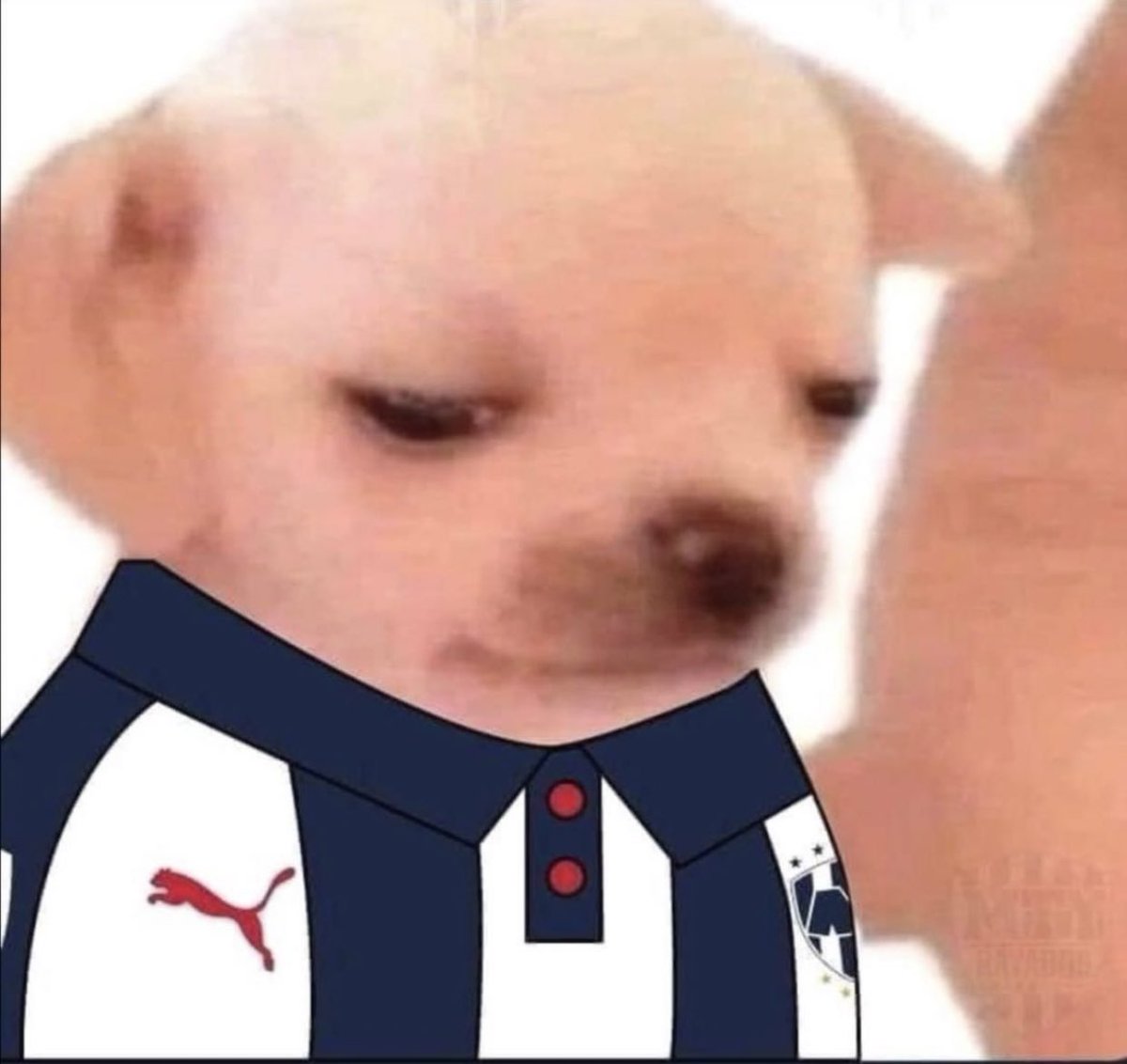 CaruRene's tweet photo. @Rayados @FIFACWC Se están necesitando 3 cosas
Dominar el sistema de juego que pretende #Michemix ,hasta ahora no se ve
Un central
Un delantero 9
Sin eso solo se van a pasear y no a competir https://t.co/ZisYtpccVK