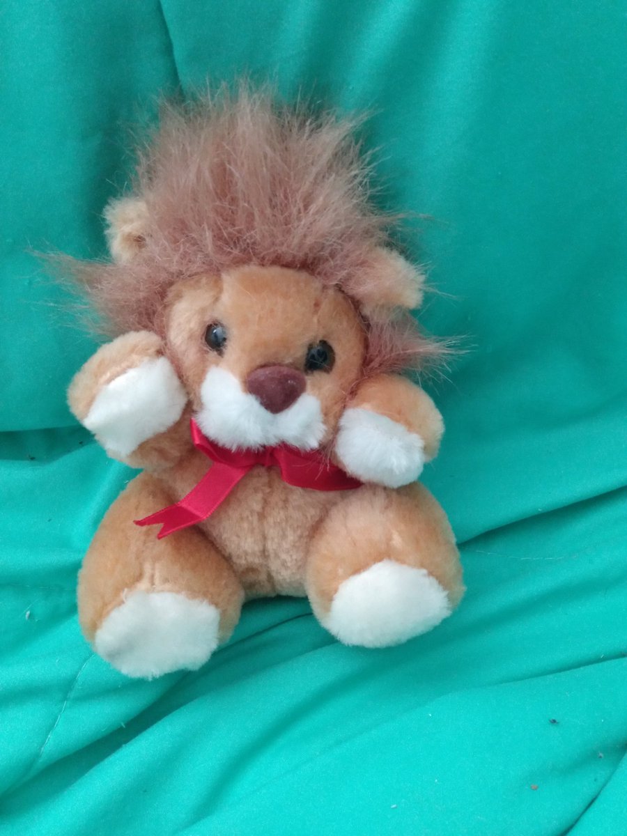 Valentines Day Bear and Lion Plushie! 5 dollars + shipping each!
#plushies #plushiesforsale