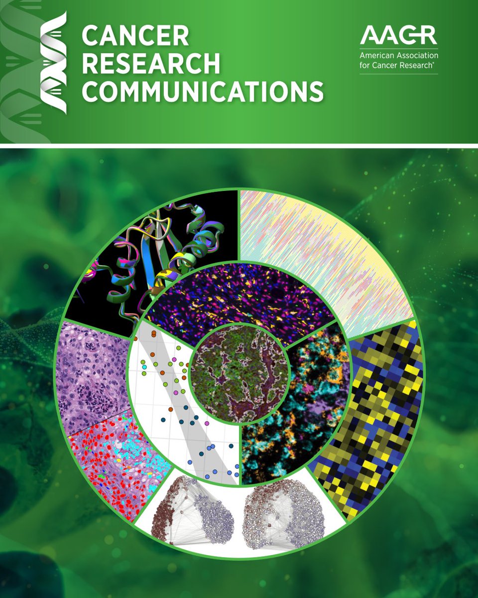 Cancer Research Communications (@crc_aacr) on Twitter photo Featured on the new journal cover:
Single-Cell CD4 and CD8 T-Cell Secretome Profiling Reveals Temporal and Niche Differences in Acute Myeloid Leukemia Following Immune Checkpoint Blockade Therapy
brnw.ch/21wQbfm
<a href="/HusseinAbbasLab/">Hussein Abbas</a> <a href="/Daver_Leukemia/">Naval Daver, M.D.</a> <a href="/patrickreville/">Patrick Reville, MD, MPH</a> Featured on the new journal cover:
Single-Cell CD4 and CD8 T-Cell Secretome Profiling Reveals Temporal and Niche Differences in Acute Myeloid Leukemia Following Immune Checkpoint Blockade Therapy
brnw.ch/21wQbfm
<a href="/HusseinAbbasLab/">Hussein Abbas</a> <a href="/Daver_Leukemia/">Naval Daver, M.D.</a> <a href="/patrickreville/">Patrick Reville, MD, MPH</a>