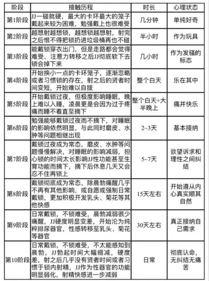 #关于贞操锁佩戴的经验综述 

第一部分 个人生理特征与贞操锁形制的契合

第一节 阴茎生理特质对戴锁的影响

嘛，鸽了一天，必须得开始写第二部分了。收到了很多的私信和评论，已经尽力在回复了，也很高兴看到评论区大家都在积极分享自己的经验和相关问题的解决办法。
