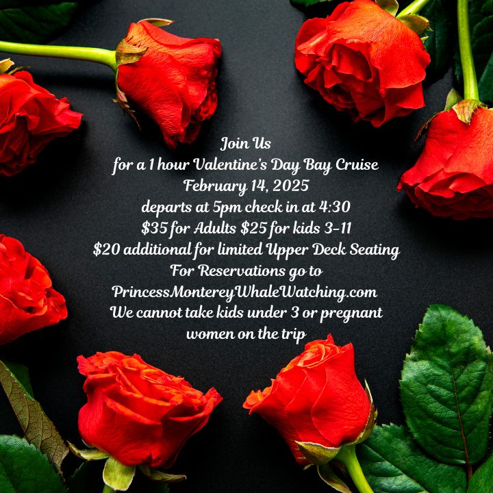 PMWW's tweet image. **Romantic Valentine's Day Bay Cruise on Monterey Bay**
Set sail this Valentine’s Day on a romantic cruise across the stunning waters of Monterey Bay! Treat your special someone to a 1  hour coastal bay cruise. Music, Treats and Fun!