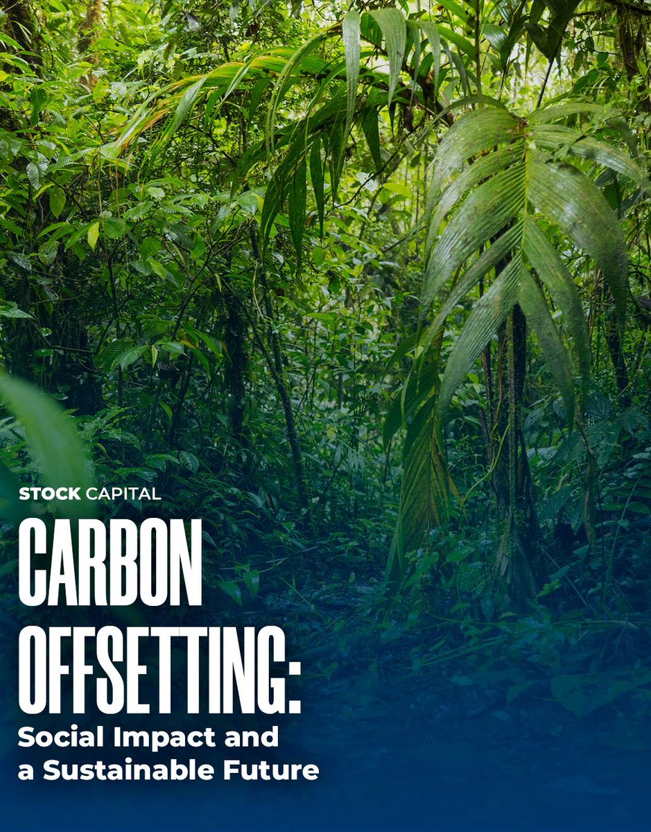 Carbon Offsetting: Social Impact and a Sustainable Future
At Stock Capital, turning environmental challenges into opportunities for social impact is what drives us. Through the sale of carbon credits, we not only neutralize emissions but also invest in projects that create