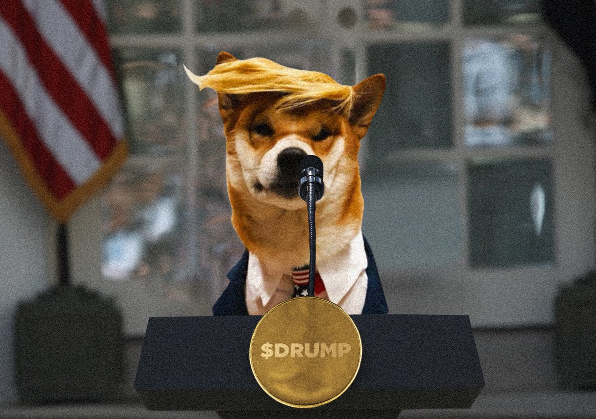 Drump tweet media