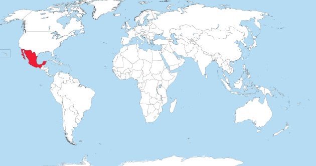 citizenedgar's tweet image. El único país del mundo donde el presidente pide cerrar filas con los narcos. 

Eres una vergüenza @Claudiashein