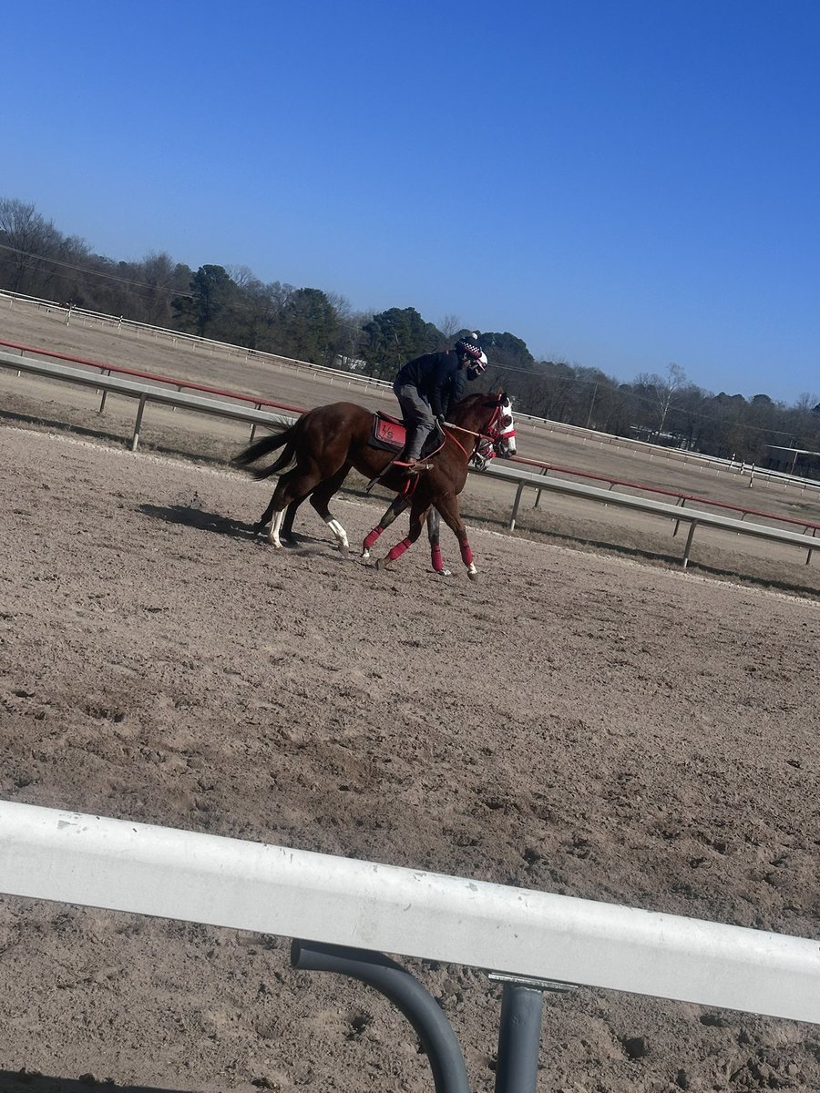 Director_Roxy's tweet photo. Super thankful for the sun and patient horsemen for helping us get on track today @LouisianaDowns. It’s been cold but nothing like some afternoon training to warm you up. #trainingwinners #LouisianaRacing #AQHA https://t.co/OYx4vt4sZx