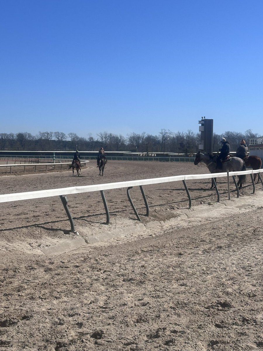 Director_Roxy's tweet photo. Super thankful for the sun and patient horsemen for helping us get on track today @LouisianaDowns. It’s been cold but nothing like some afternoon training to warm you up. #trainingwinners #LouisianaRacing #AQHA https://t.co/OYx4vt4sZx