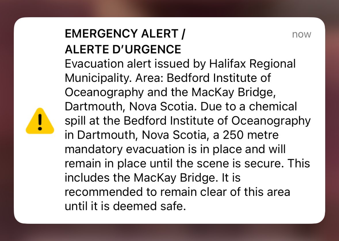 Dominik Diamond tweet media