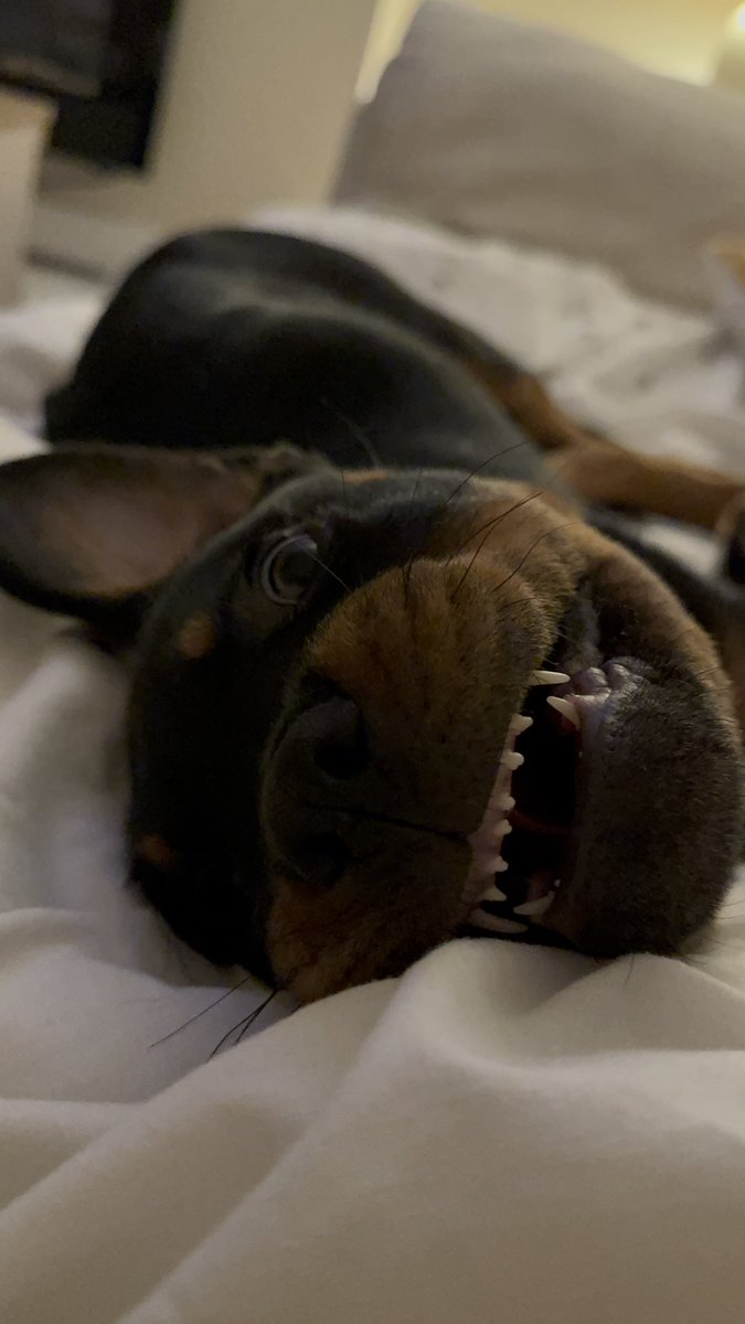 I wish I could have that small baby back. This one is the devil