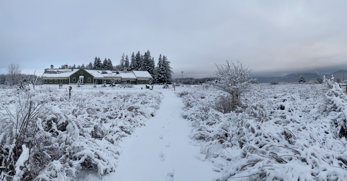 WBOY12News's tweet photo. Canaan Valley had lowest temperature in contiguous US Wednesday morning https://t.co/7wOmTHgBOm https://t.co/6hJZyKZjx0