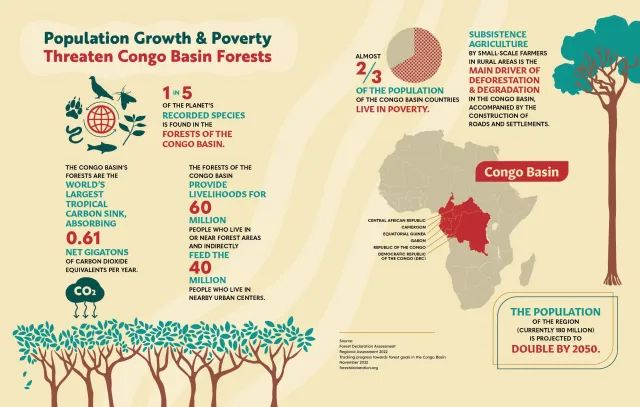 UN Biodiversity tweet media
