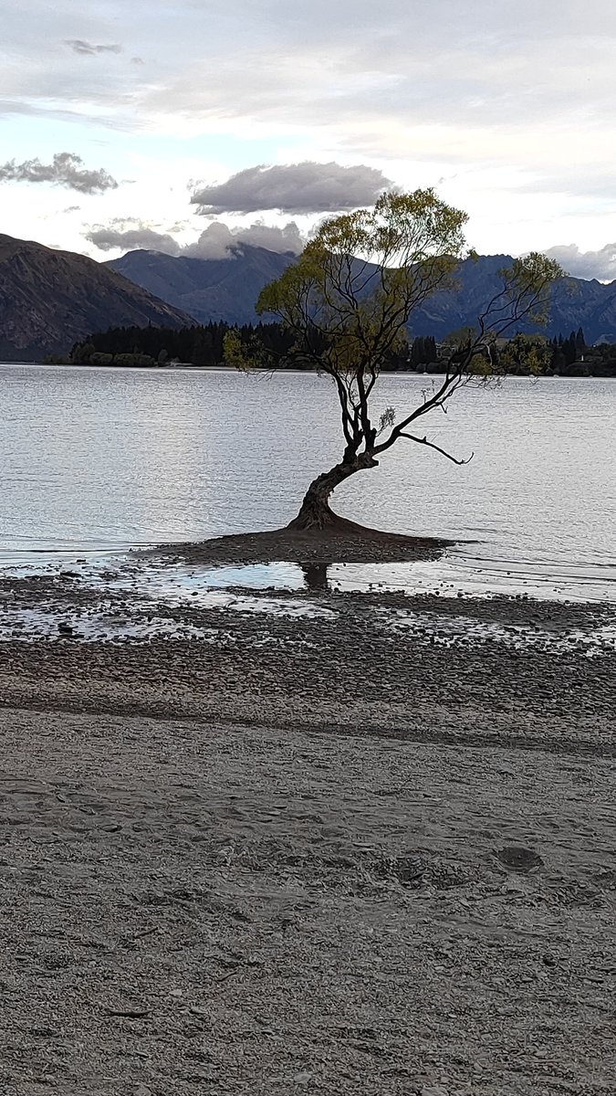 Left 12 January, right today 23 January. Rain forecasted but doesn't mean Mother Nature will bring it in.