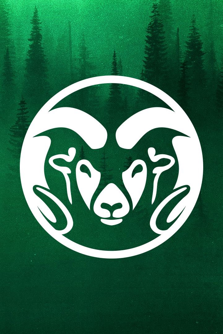 ElishaF_77's tweet photo. CSU offered⚪️🟢 Go Rams!! https://t.co/aCtk01YSSf