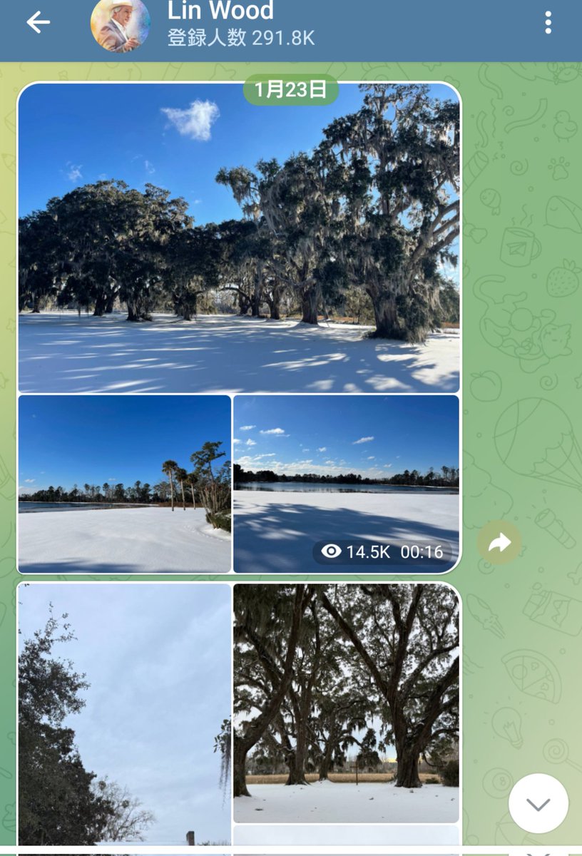 yoshikoo00's tweet photo. Amy Lane’s Morning Cotton Hall Report:
“Cotton Hall is more beautiful than ever!”
Lin 🙏❤️🇺🇸
https://t.co/uEz30RCuDD
#SNOWHALL https://t.co/nilx57d116