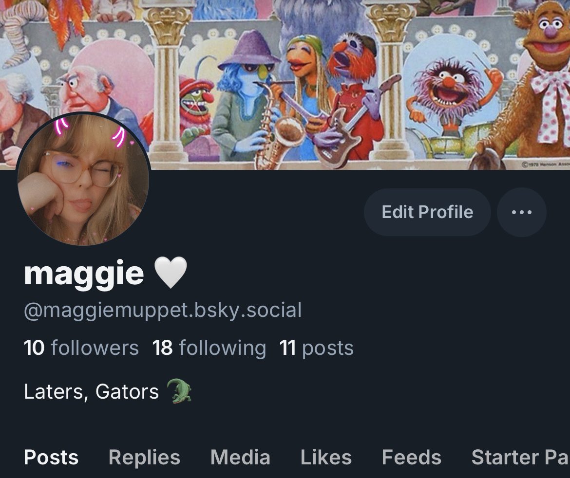 maggiemuppet's tweet photo. After recent events, I'm going to be deleting my Twitter account. I'm just working on following my favorites/mutuals on other platforms, and saving some posts here and there.

See below for where else you can find me: https://t.co/18so30rgzK