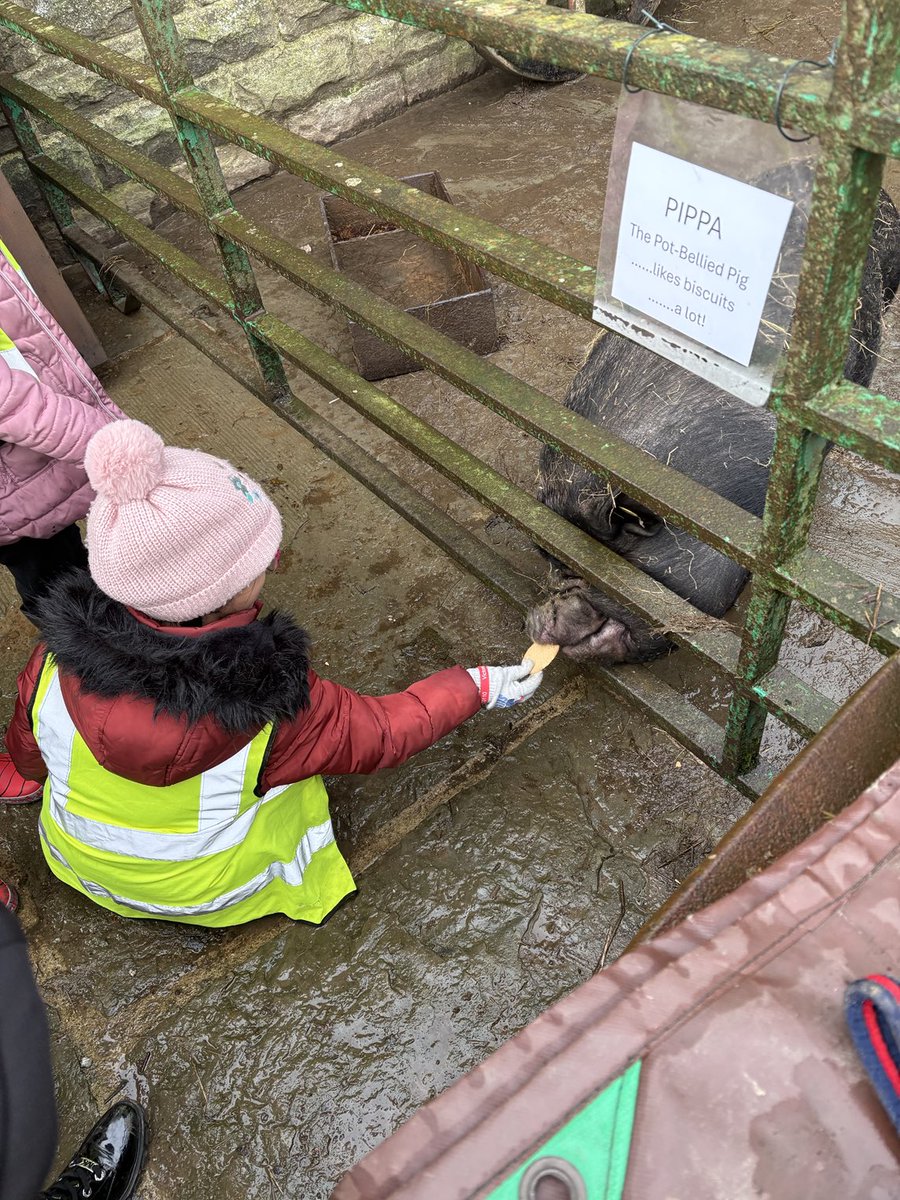 Victoria Primary School tweet media