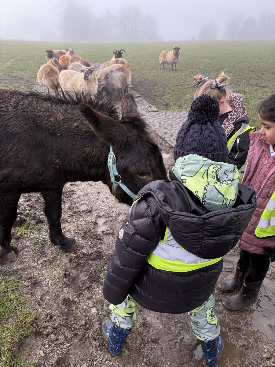 Victoria Primary School tweet media