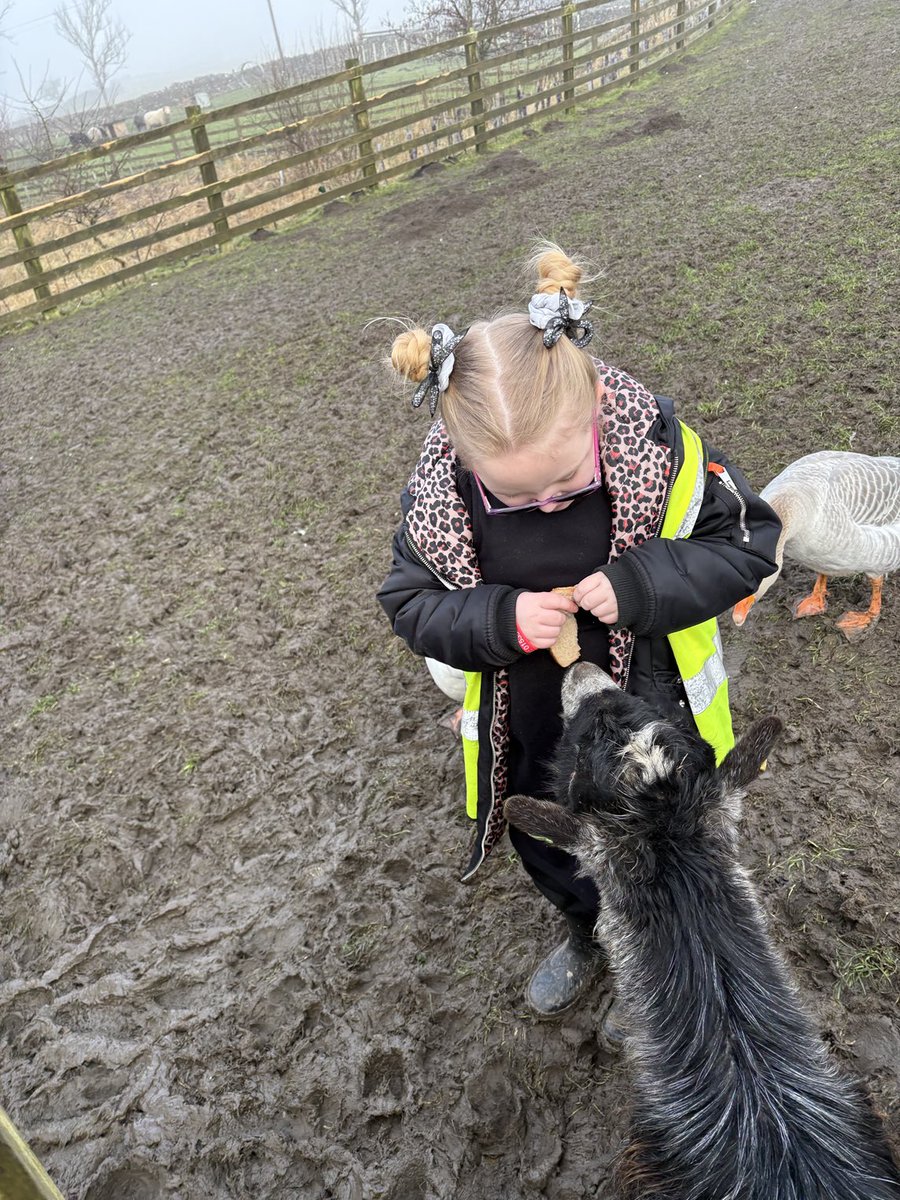 Victoria Primary School tweet media