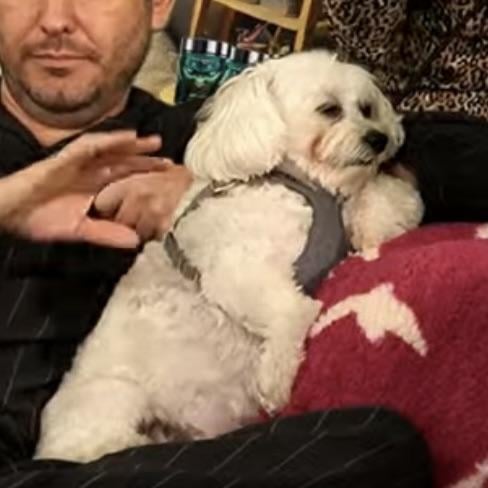 ✨The H3 Show Is Now Going Liveeeeee!!! ✨

Watch here... youtube.com/live/casAOxYGj…