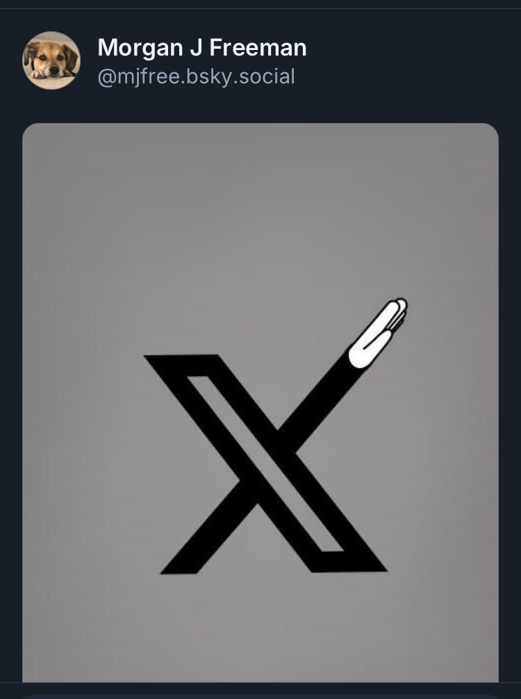 François Guinle tweet media