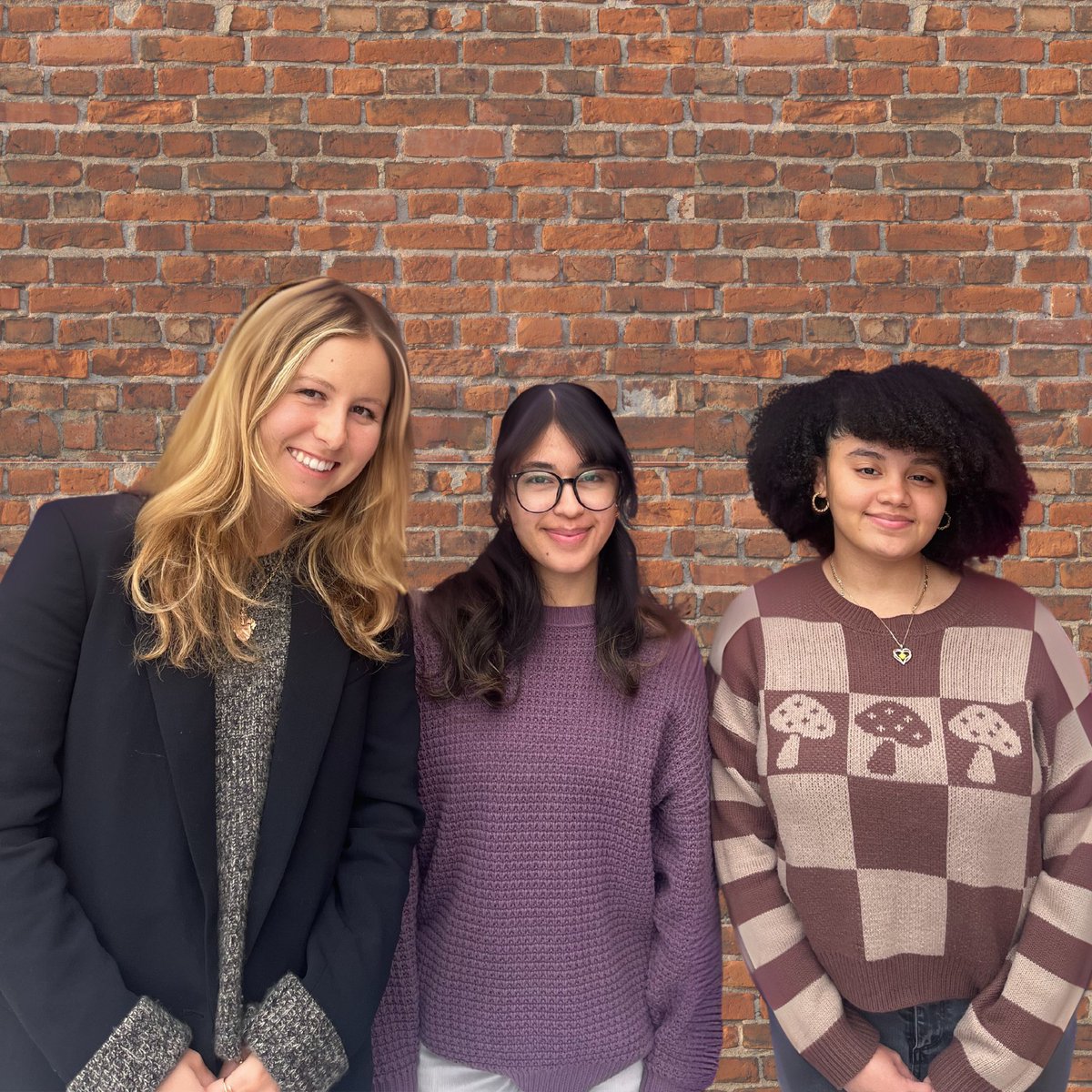 Ellis recently welcomed <a href="/Northeastern/">Northeastern U.</a>  co-ops Sofia, Ayana and Genesis! Thanks to our partnership with Northeastern, a new set of students join Ellis every 6 months to gain nonprofit work experience. We are so excited to have them!

#northeastern #career #careergrowth