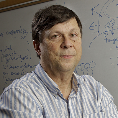 Immune Regulation News (@immune_news) on Twitter photo ๐ Dr. Mark Davis' team at <a href="/Stanford/">Stanford University</a> analyzed the contributions of CD4+ Tregs expressing FOXP3 and CD8+ Tregs expressing killer cell immunoglobulin-like receptors to the control of autoreactive T and B #lymphocytes.
๐ <a href="/NatImmunol/">Nature Immunology</a> | go.nature.com/40rMLw7 ๐ Dr. Mark Davis' team at <a href="/Stanford/">Stanford University</a> analyzed the contributions of CD4+ Tregs expressing FOXP3 and CD8+ Tregs expressing killer cell immunoglobulin-like receptors to the control of autoreactive T and B #lymphocytes.
๐ <a href="/NatImmunol/">Nature Immunology</a> | go.nature.com/40rMLw7