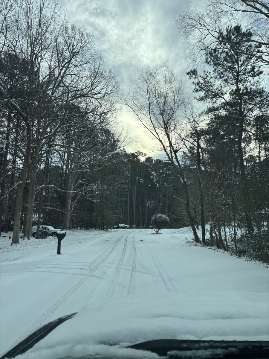 Snow in Raleigh, NC - a beautiful rarity ❄️