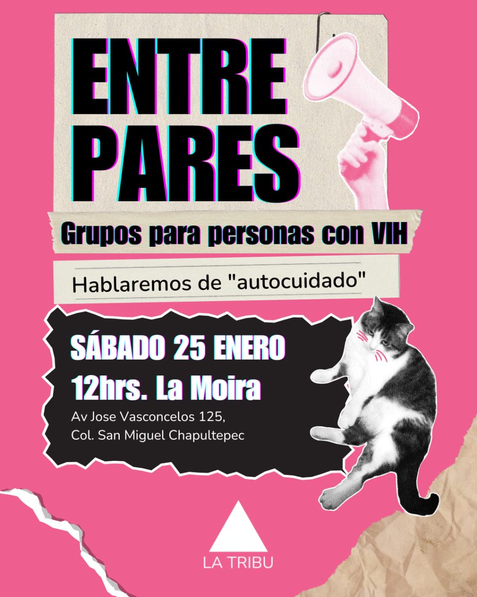 La Tribu tweet media