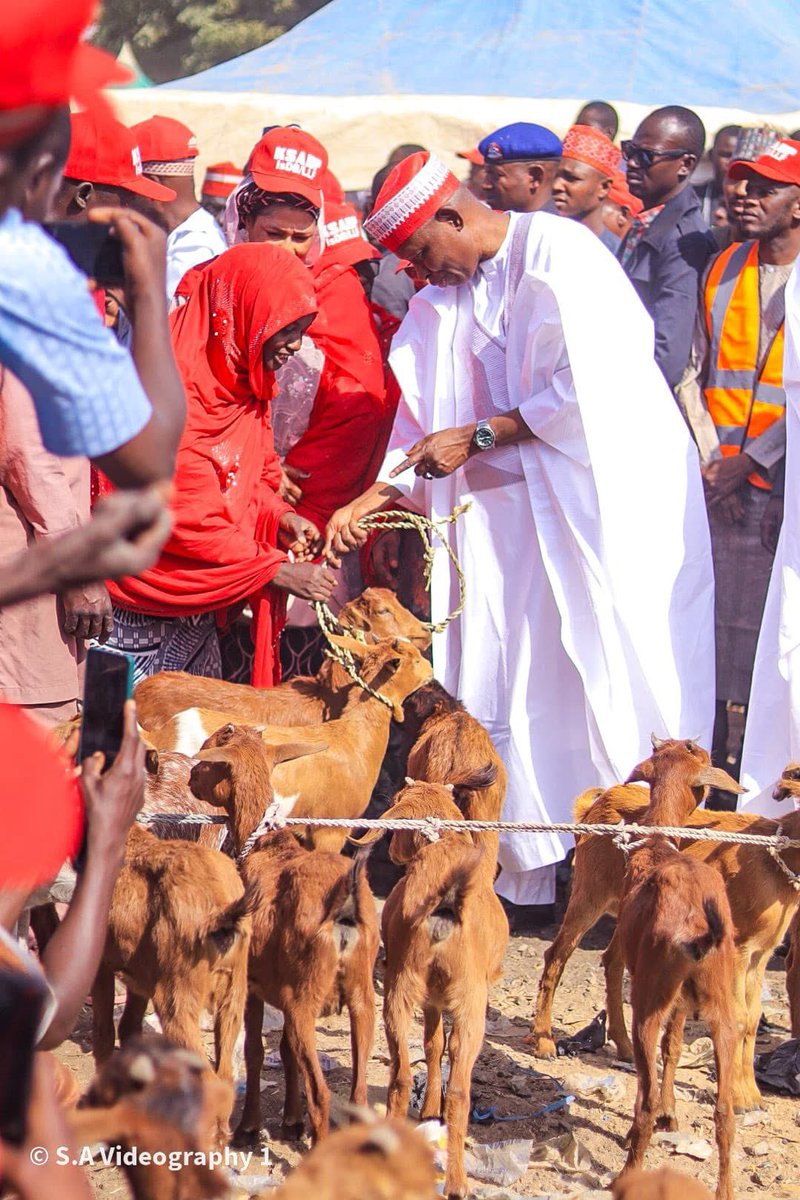 BashirAhmaad's tweet image. I 100% support this initiative as it is undoubtedly an effort that will greatly benefit many rural women, who are informally skilled in goat rearing. However, my issue, and I believe same with that of many critics, is that the governor of a populous and potentially state like…