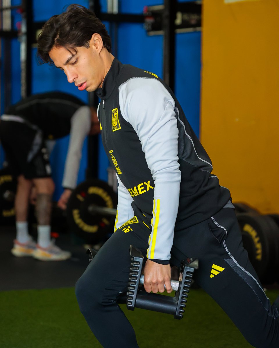 Club Tigres English tweet media