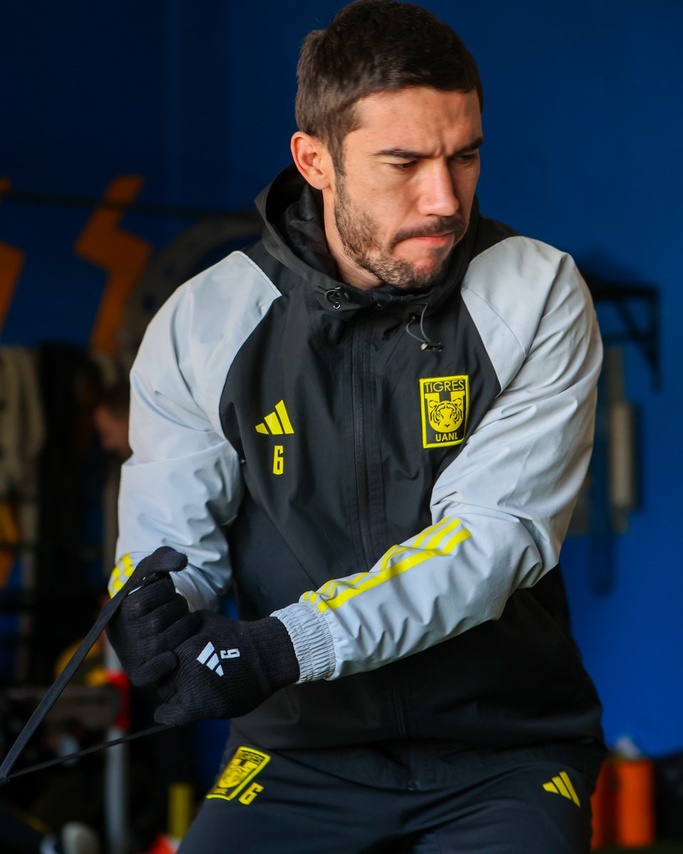 Club Tigres English tweet media