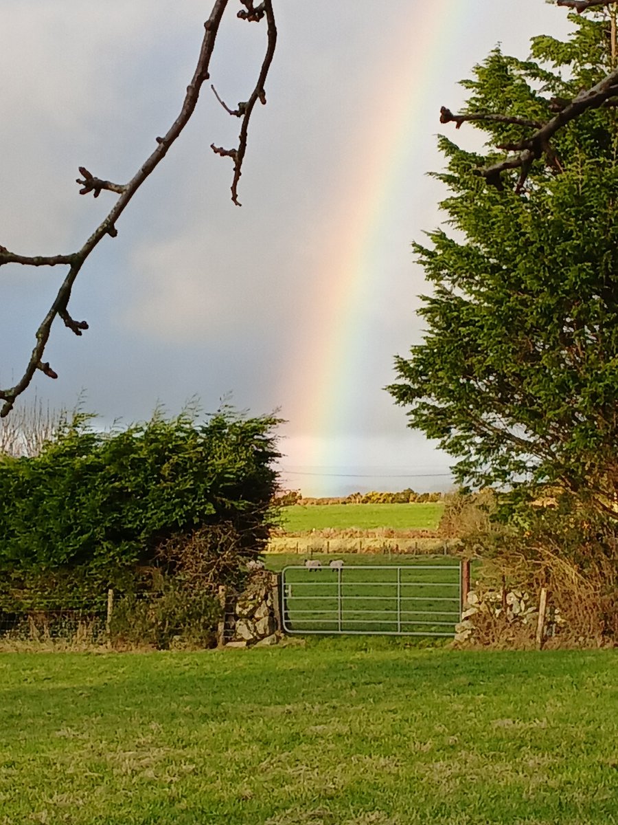 So that's where it is €€ 🤣🤣 #Wednesdayvibe #rainbows