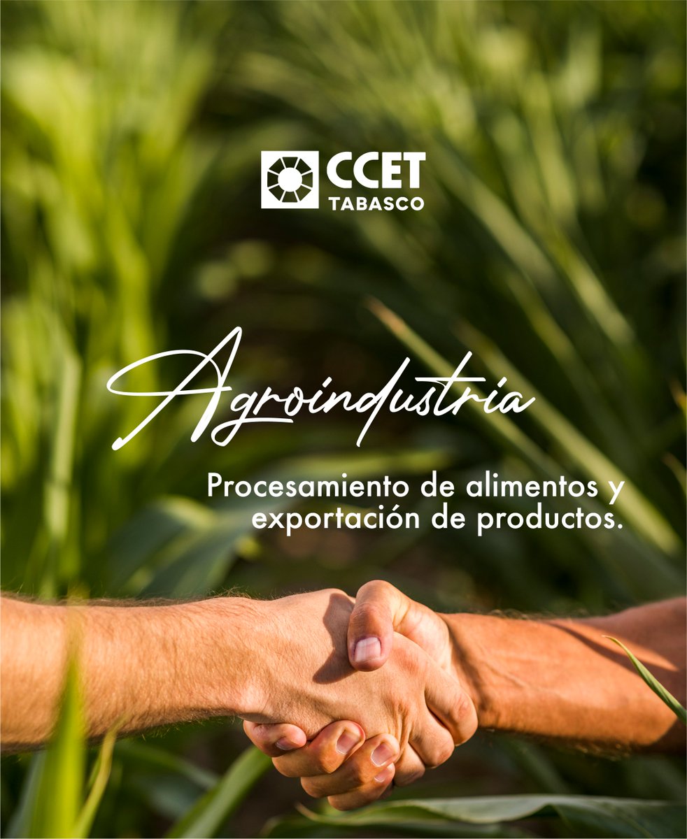 Tabasco se destaca como un punto clave para inversiones que impulsan la competitividad regional.

#alianzas #gobiernoestatal #ccet #ricardobeltran #EmpresasTabasqueñas #Tabasco #CCET