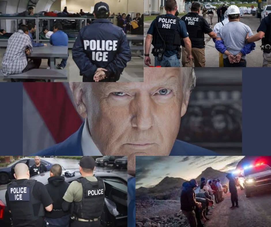 Con #Trump a la cabeza, una poderosa élite económica ha desembarcado en la Casa Blanca y ha comenzado a perfilar el modelo que desean imponer a todo el mundo: políticas proteccionistas, atacar la agenda verde y la diversidad y radicalizar el embate contra las mujeres y su derecho